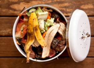 Countertop Composter